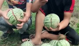 中国网红吃瓜,揭秘娱乐圈幕后真相