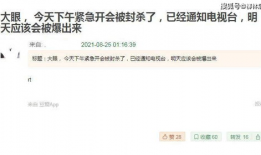 网传吃瓜论文,吃瓜论文背后的真相与启示