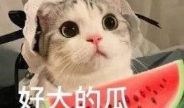 网红吃瓜意味什么,揭秘网络时代的娱乐风向标