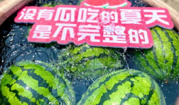 吃瓜网星期六,揭秘星期六的幕后故事