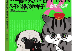 吾皇漫画在线阅读,穿越古今的奇幻冒险之旅
