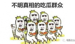 饭圈网红吃瓜,幕后真相与娱乐众生相