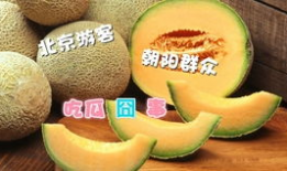 朝阳吃瓜官网首页,揭秘娱乐圈最新热点，带你畅游八卦海洋