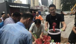 吃瓜网朝阳区,吃瓜网带你探秘京城繁华之地”