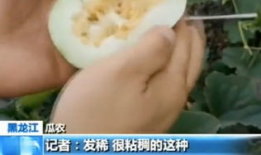 平邑吃瓜网,揭秘平邑美食与趣事