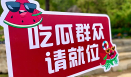 吃瓜网星期六,揭秘星期六的幕后故事