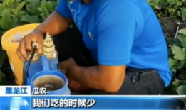 平邑吃瓜网,揭秘平邑美食与趣事
