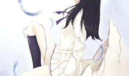 壳之少女动漫,守护世界的神秘少女战士