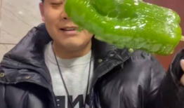 网红大型吃瓜事件视频,一场网络狂欢背后的真相揭秘