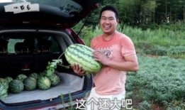 瓜哥带你吃瓜 百度网盘,揭秘热门吃瓜话题背后的秘密